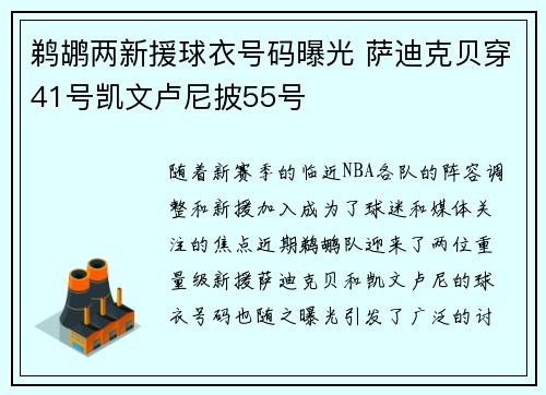 鹈鹕两新援球衣号码曝光 萨迪克贝穿41号凯文卢尼披55号
